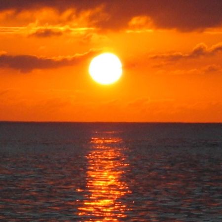 Roatan Bed & Breakfast Apartments เวสต์เอนด์ ภายนอก รูปภาพ