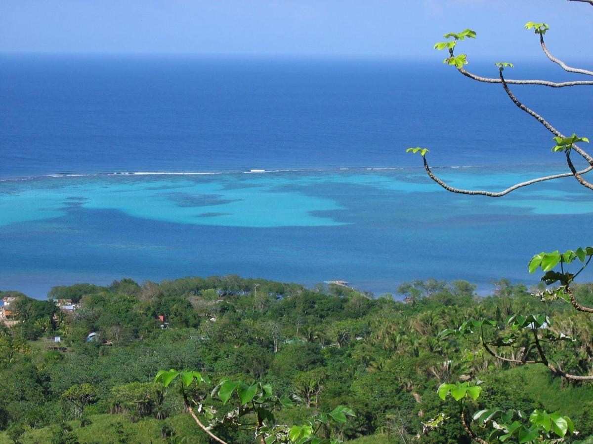 Roatan Bed & Breakfast Apartments เวสต์เอนด์ ภายนอก รูปภาพ