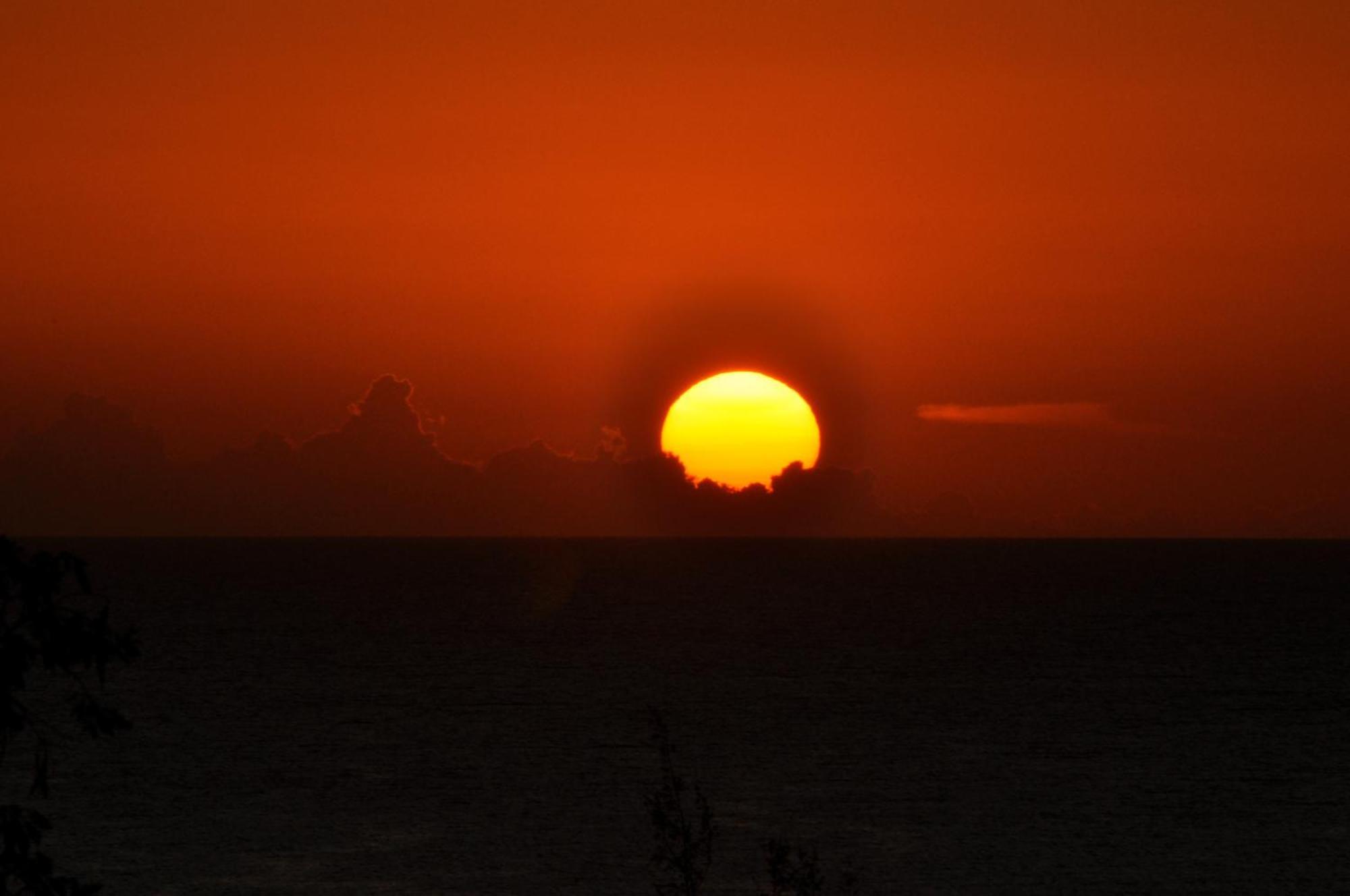 Roatan Bed & Breakfast Apartments เวสต์เอนด์ ภายนอก รูปภาพ