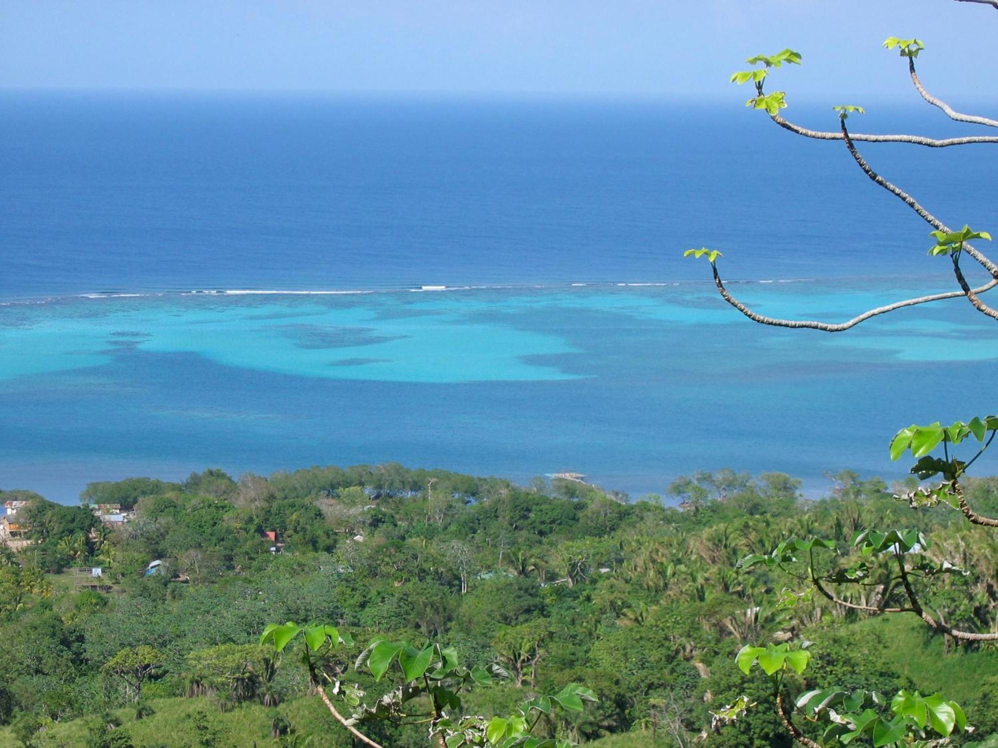 Roatan Bed & Breakfast Apartments เวสต์เอนด์ ภายนอก รูปภาพ