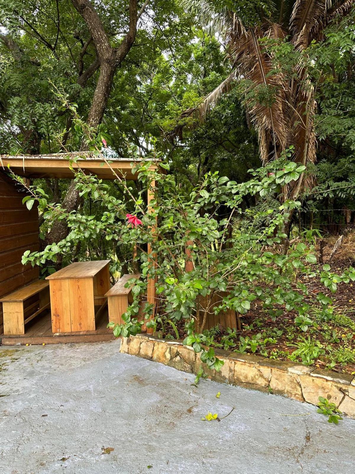 Roatan Bed & Breakfast Apartments เวสต์เอนด์ ภายนอก รูปภาพ