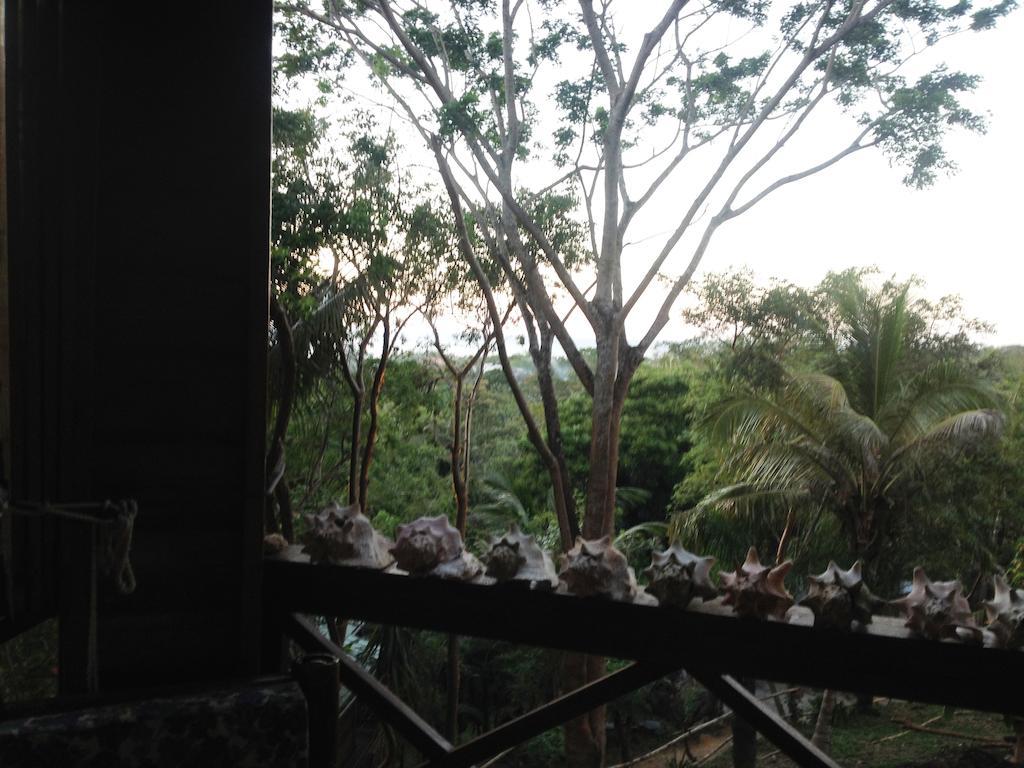 Roatan Bed & Breakfast Apartments เวสต์เอนด์ ภายนอก รูปภาพ